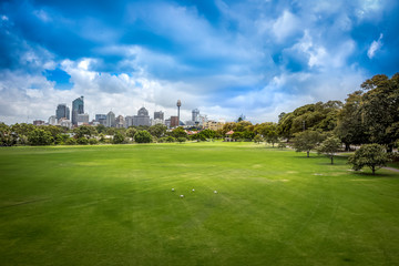 Fototapeta na wymiar Sydney City Skyline from Moore Park