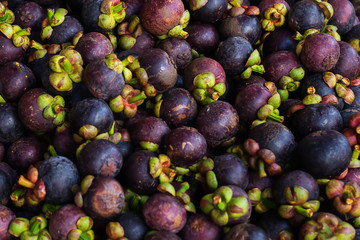 Fresh organic exotic fruit mangosteen on a local food market