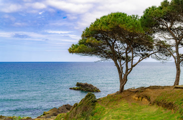Fototapeta na wymiar Colorful beach landscape with tree, green leaves, blue sea, mountains and cloudy sky.