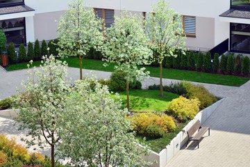 Fototapeta na wymiar Ornamental shrubs and plants near a residential city house