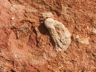 Pierres fossiles 