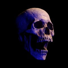 Obraz premium 3D rendering skull isolated