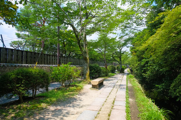 京都市 哲学の道