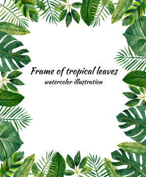 watercolor frame of tropical leaves