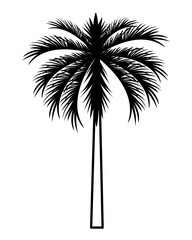 palm tree cartoon