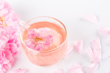 Obraz na płótnie Canvas Sakura tea. Closeup of cherry blossom herb tea on white