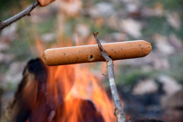 Sausage barbeque taking place outdoors with hot dog on a stick over bonfire. Photo taken in Putsered, Sweden