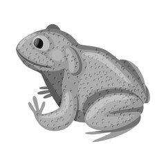 Vector design of toad and tropical sign. Collection of toad and ecology vector icon for stock.
