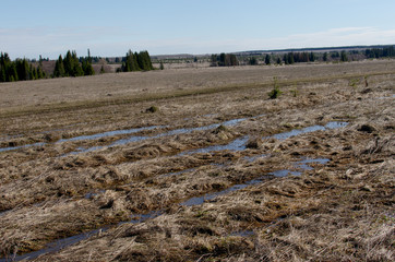 melt water, last spring nature