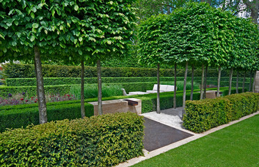 A classical garden with an avenue of yew, box and hornbeam leading to a water feature