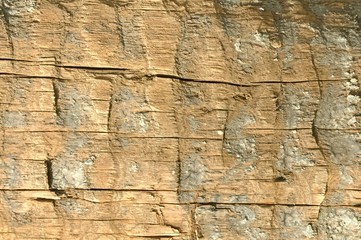 wooden background