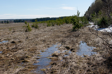 melt water, last spring nature