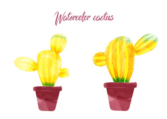 Vector cactus isolated on white background, watercolor style