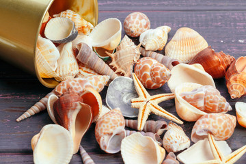 Different sea shells on color wooden background