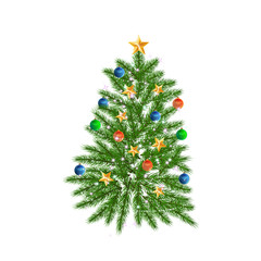 Tree, green Christmas fir tree, isolated