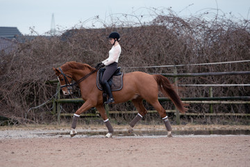 Seitenportrait einer Reiterin im Wintertraining auf dem Reitplatz