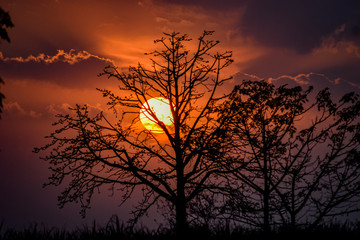 This beautiful Sunset image is been Captured by Nikon Camera. And this image can be used as Wallpaper