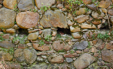 Old anticient stone wall from rough rocks with moss and wild plants of weeds on it, background, texture