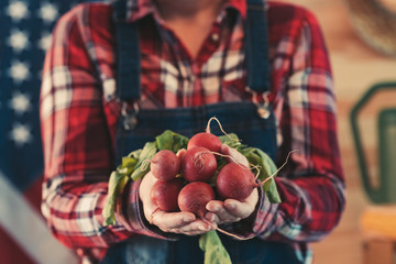 American female farmer holding bunch of harvested radishes