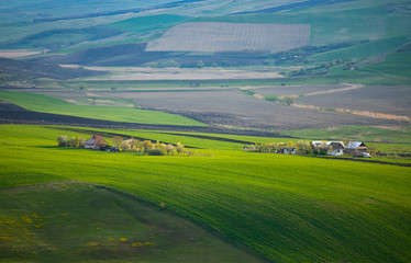 Spring fields background