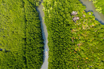 Aerial view of the boat along the tropical mangrove forest.