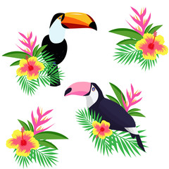 Beautiful toco toucan cartoon vector illustration