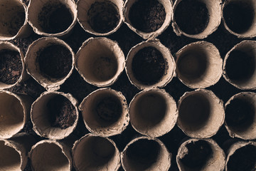 Biodegradable peat pot on greenhouse compost humus soil