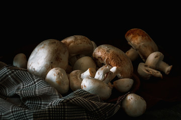 Fresh champignon mushrooms group on the table. Fresh vegetables mushrooms - the concept of healthy proper nutrition. Dark Food Photography