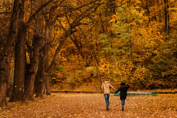 attractive happy luxury couple walking and holding hands in autumn colorful park