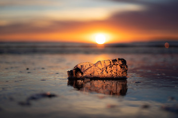 A plastic bottle floating in the sea in a beach with dirty coast