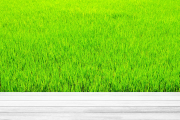 White Wood Table with Green Rice Field Background, Suitable for Product Display.