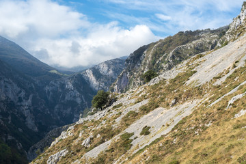 Fototapeta na wymiar Picos de Europa mountains next to Tresviso, Asturias, Spain
