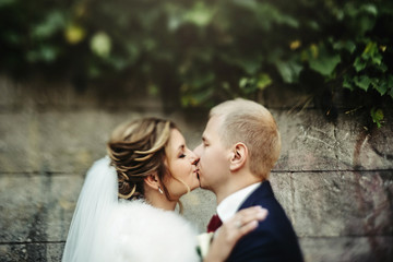 Obraz premium happy gorgeous blonde bride and stylish handsome groom with true emotions on background of old city wall