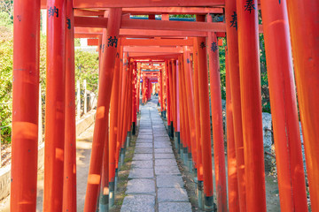 稲荷神社の鳥居