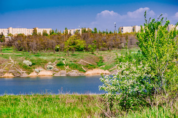 Fototapeta premium Green and bright, spring landscape. View of the city and the mountain from the field of flowering trees and young foliage. Juicy fresh grass and vegetation. Rostov region, Russia.