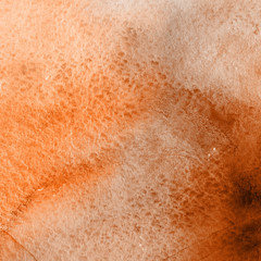 Orange with brown ink and watercolor textures on white paper background. Paint leaks and ombre effects. Hand painted abstract image. © artistmef