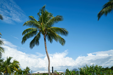 A beach resort in Fiji.