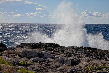Fototapeta na wymiar Wave on cliff, San domino Island. Tremiti, Ital
