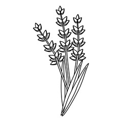 Flowers nature drawing isolated in black and white