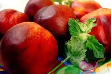 delicious nectarines and peaches on colorful plate appetizer, picnic outdoors, catering buffet at summer celebration