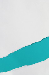 pieces of torn paper texture background, copy space.