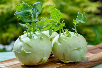 Fresh ripe bio white cabbage kohlrabi from organic farm, close up