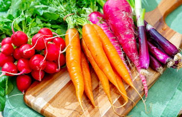 Bunches of fresh red small and long radish, carrots and purple onion, new harvest of healthy vegetables
