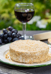 French cheeses collection, piece of fermented cow milk cheese Camembert au Calvados served with glass of sweet red port wine in green garden