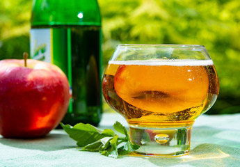 Glass with fresh cold French apple cider drink served with apples in green garden