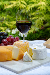French cheeses collection, yellow Riche de Saveurs, Vieux Pane and Le peche des bons peres cheeses served with glass of red port wine on marble plate outdoor in green garden
