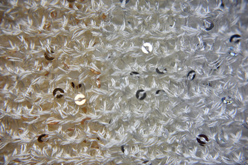 Knitted texture of fabric with sequins