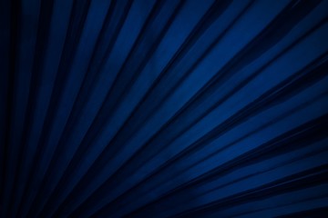 Close up Leaf Texture Background with Dark Blue Tone.