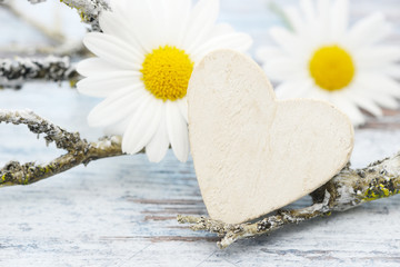 heart, white marguerite and branch lying on wood