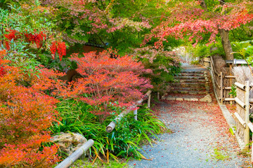 京都の紅葉　日本の庭園